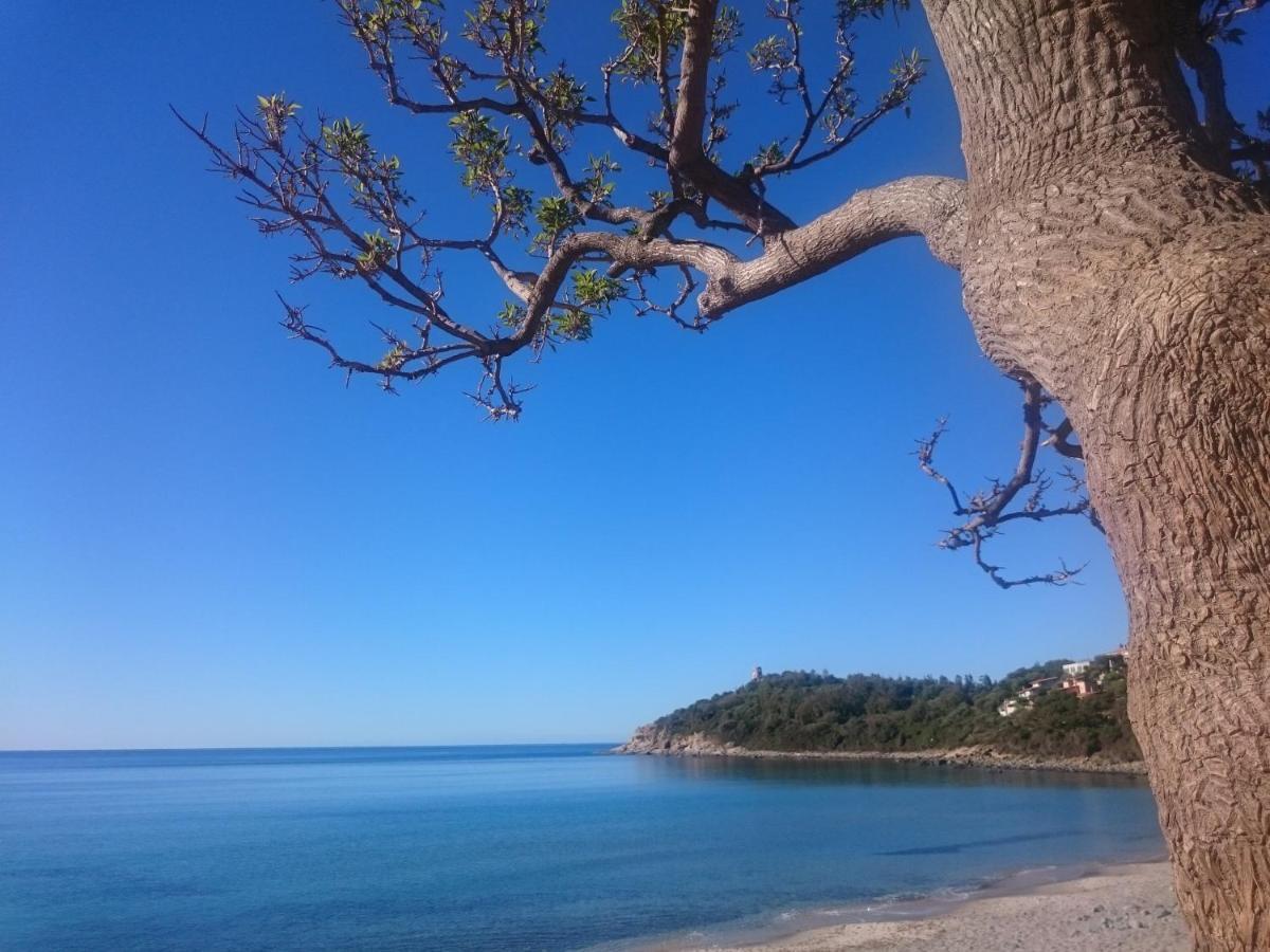 阿尔巴塔克斯Un Po Di Relax A Pochi Passi Dal Mare!公寓 外观 照片