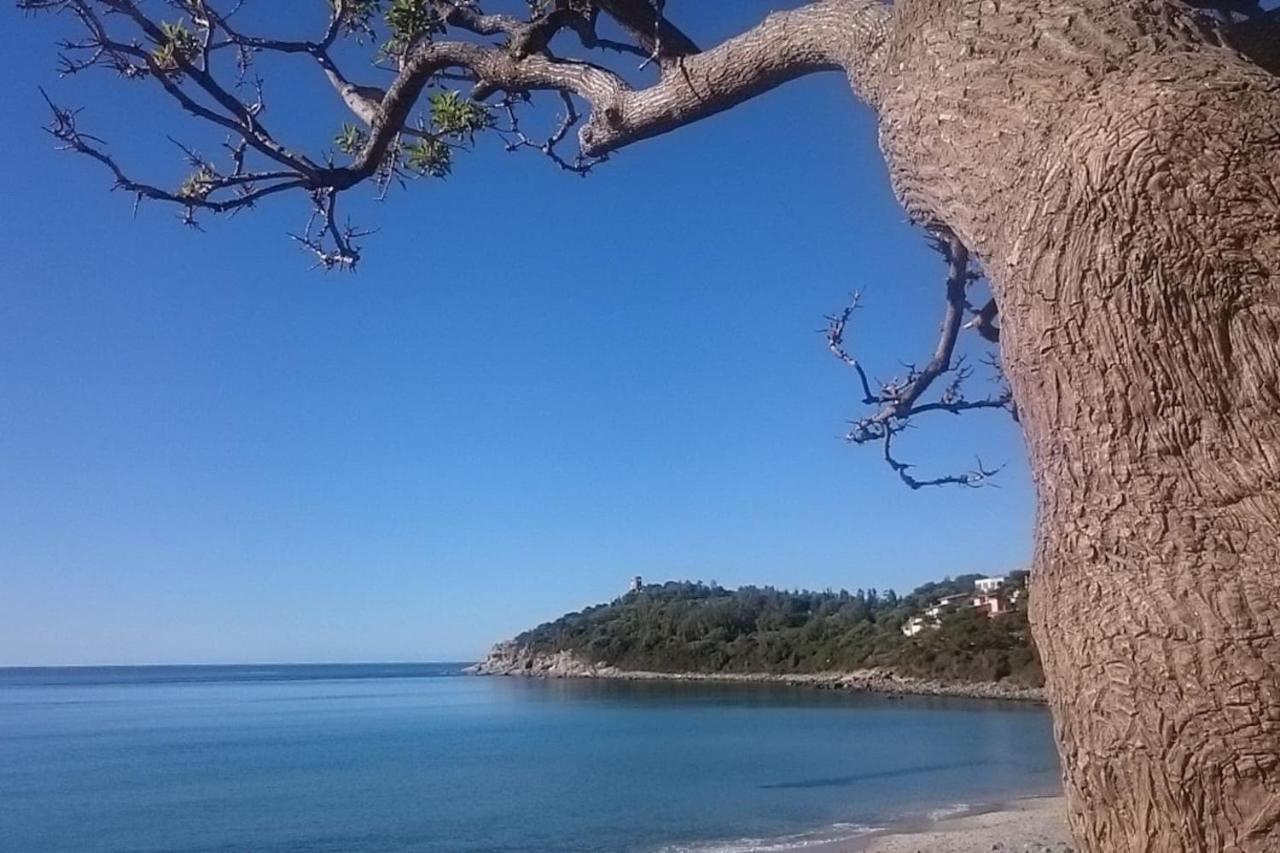 阿尔巴塔克斯Un Po Di Relax A Pochi Passi Dal Mare!公寓 外观 照片